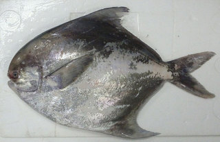 2013122518130001_2.jpg