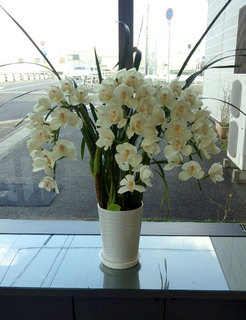 2015021314050000_s.jpg