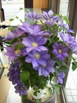 PICT0116-2.JPG